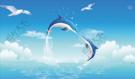 蓝天白云海豚心型海豚海鸥