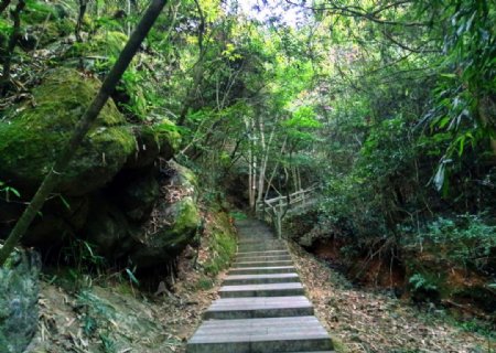 山间小路