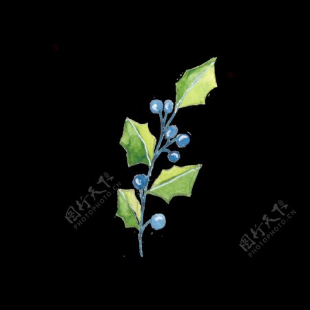 蓝色植物png透明素材
