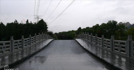 湿漉漉的桥面