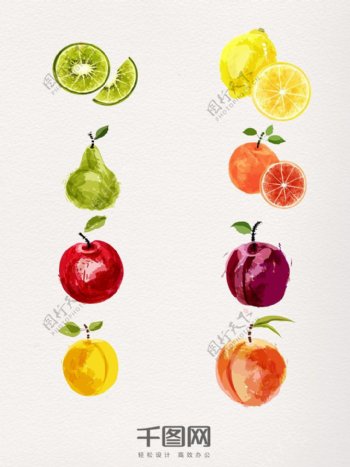 一组漂亮的水果手绘图