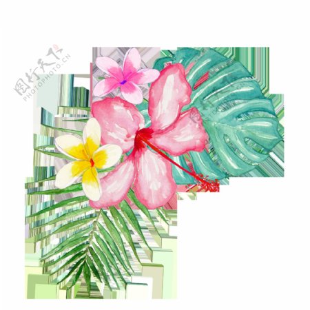 热带雨林花卉卡通透明素材