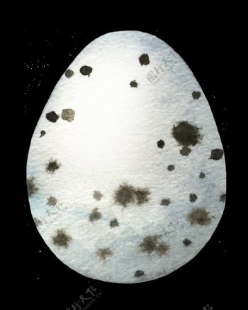 百叶鸡蛋卡通透明素材