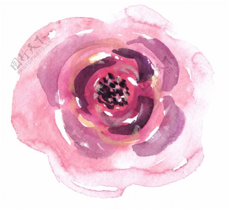 粉色可爱花卉卡通透明素材