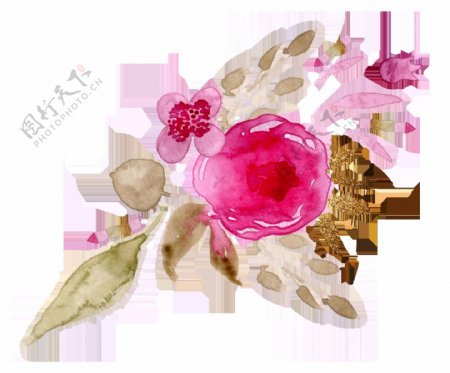 手绘粉色花卉卡通透明素材