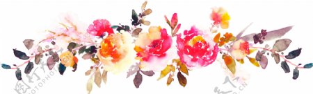 横向生长花卉装饰卡通透明装饰素材