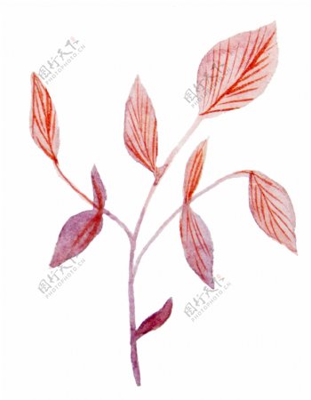 红色树叶卡通透明装饰素材