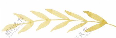 秋黄枝叶卡通透明装饰素材