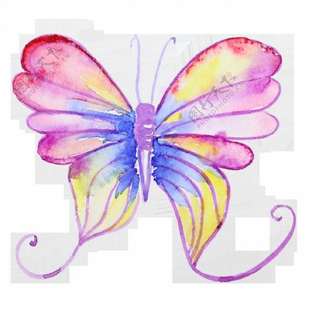 粉彩蝴蝶卡通透明装饰素材