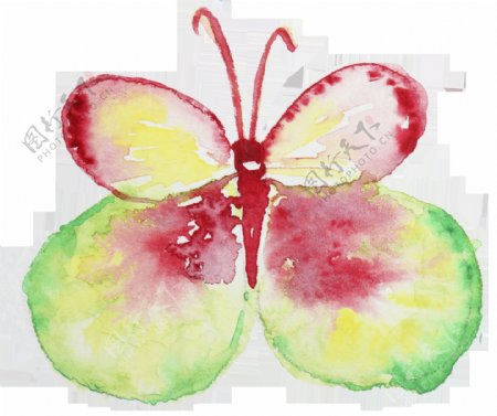 果肉蝴蝶卡通透明装饰素材
