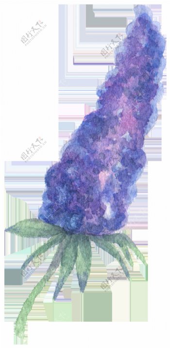 紫罗兰植物卡通水彩透明素材