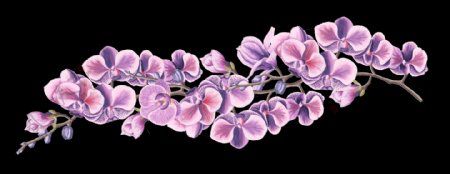 韩风植物装饰卡通透明素材