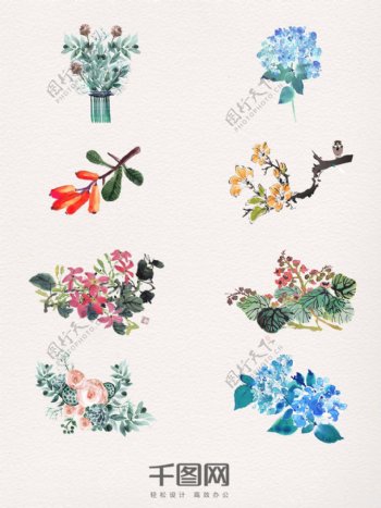 8款水彩植物各种花卉素材