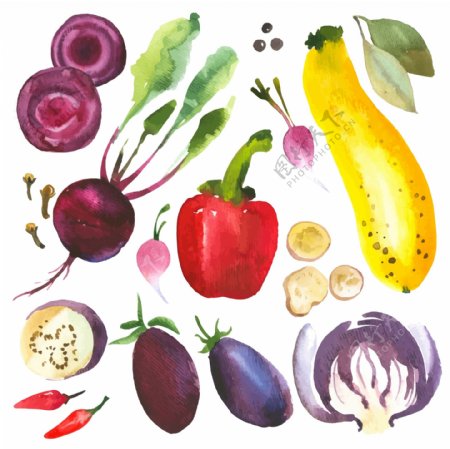 水彩绘蔬菜和水果插画