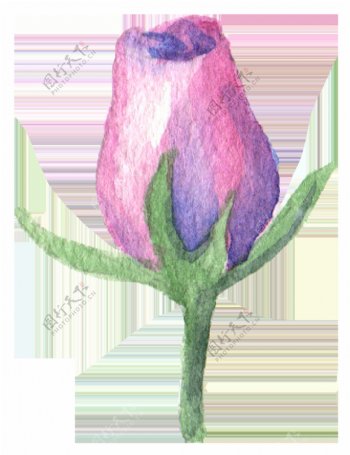 紫馨玫瑰卡通水彩透明素材