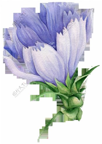 淡紫花瓣卡通透明装饰素材