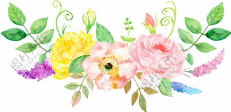 常见彩色花卉卡通透明素材