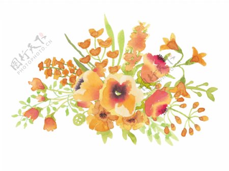 秋日景色花卉卡通透明素材