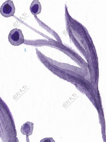 深紫花心卡通透明素材