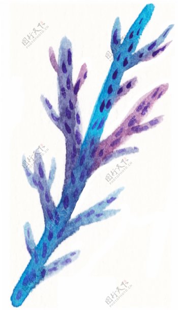 紫蓝珊瑚卡通透明素材