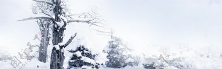 冬季户外雪景banner背景