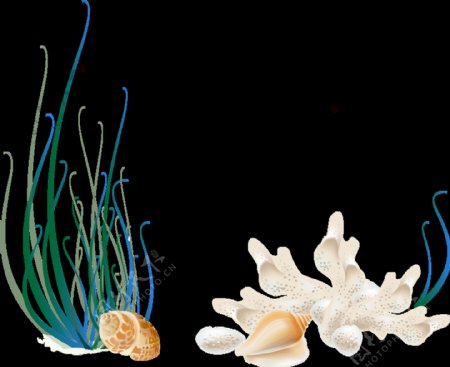 海底水草生物透明素材