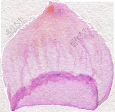 粉色花瓣透明装饰素材