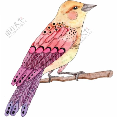手绘彩色树枝上的小鸟png透明素材