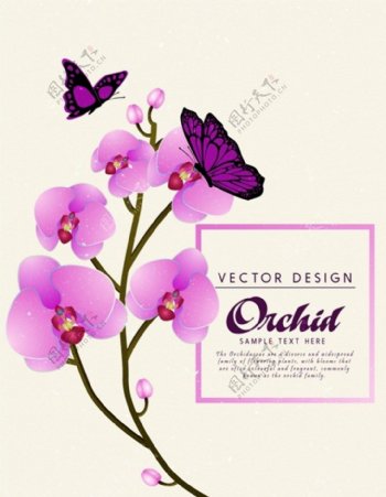 紫色花朵蝴蝶矢量素材