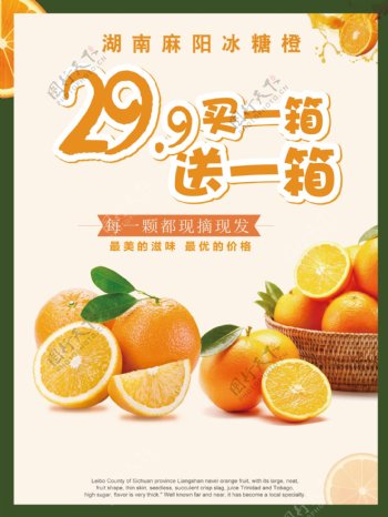湖南麻阳冰糖橙水果海报买一送一宣传单