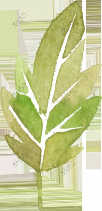 嫩绿生长树叶透明装饰素材