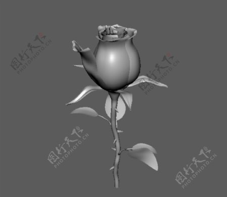精致玫瑰maya3d模型