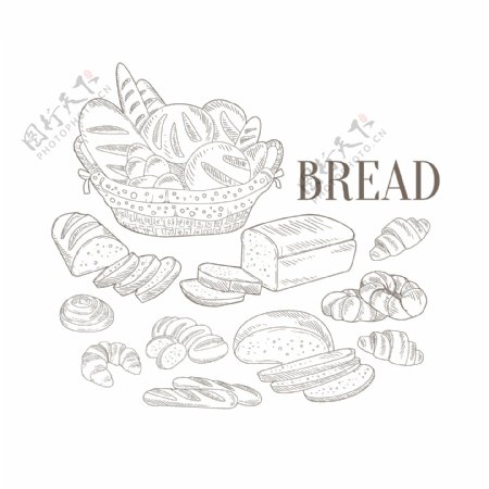 手绘线条面包插画