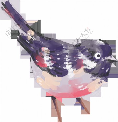 手绘一只油画小鸟PNG透明素材