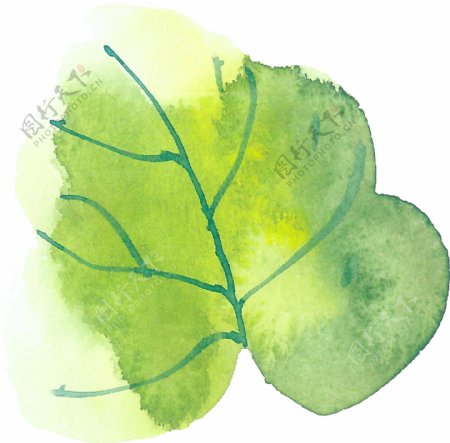 手绘绿色树叶透明素材合集