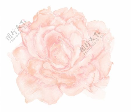 手绘一朵粉嫩的花png透明素材