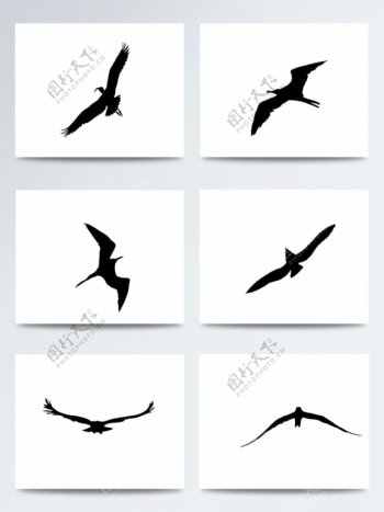 湿地日卡通飞着的鸟PNG元素
