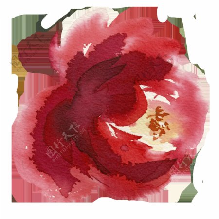 手绘鲜红的茶花PNG透明素材
