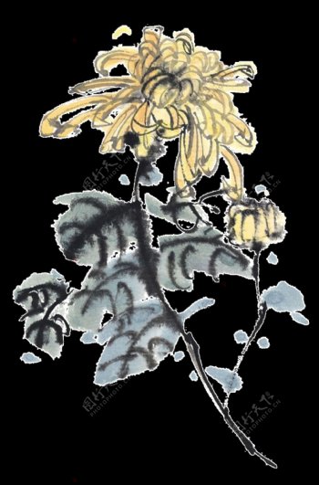 魅力淡黄色手绘菊花装饰元素