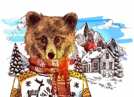 可爱手绘的大棕熊插画