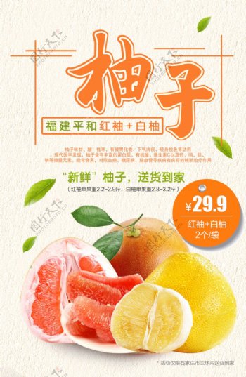 白柚水果促销H5海报