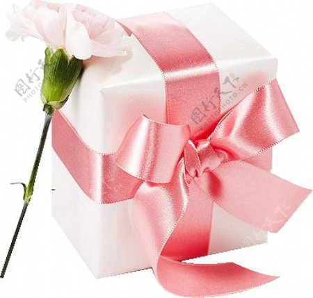 粉色花朵情人节礼物元素