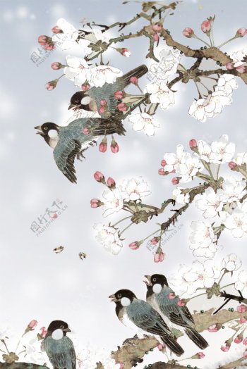 冬季动植物鸟儿花朵海报背景设计