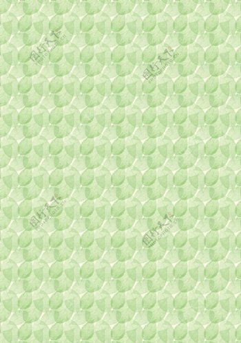 半透明的绿色树叶图案