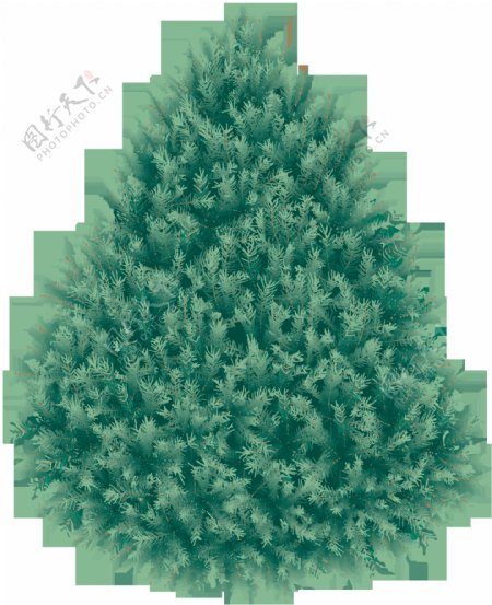 绿色圣诞树木png素材