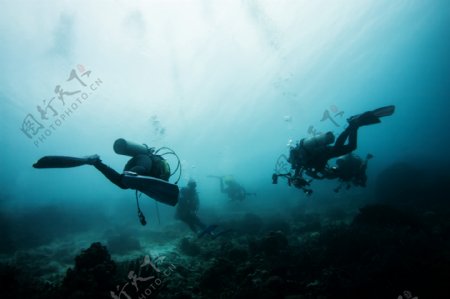 海底潜水员图片素材