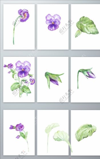 免抠手绘清新紫色花卉矢量素材