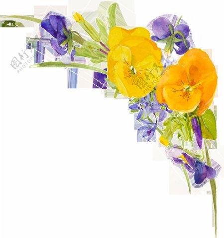 紫色黄色兰花花枝装饰素材