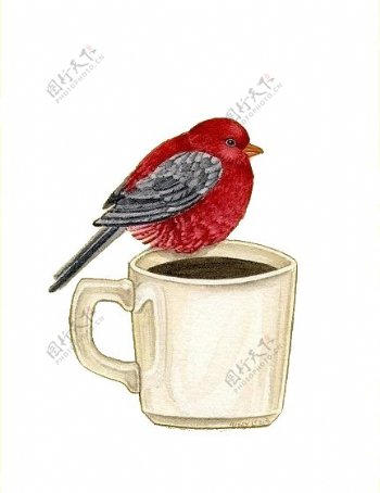 可爱神气红色小鸟装饰元素
