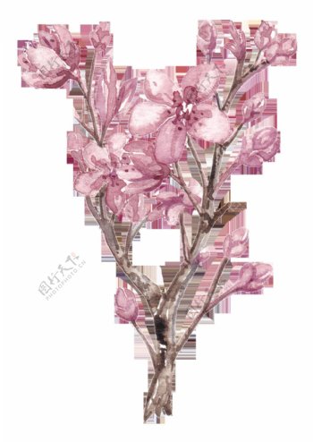 一株鲜艳的梅花树枝png透明素材